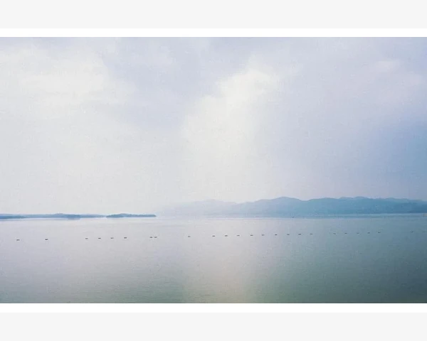 湿热胃火按摩：舒缓“湿热胃火”烦恼，让你健康自在